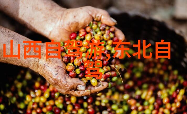 全国导游证官网入口指引西岭雪山的第一抹白何时降临
