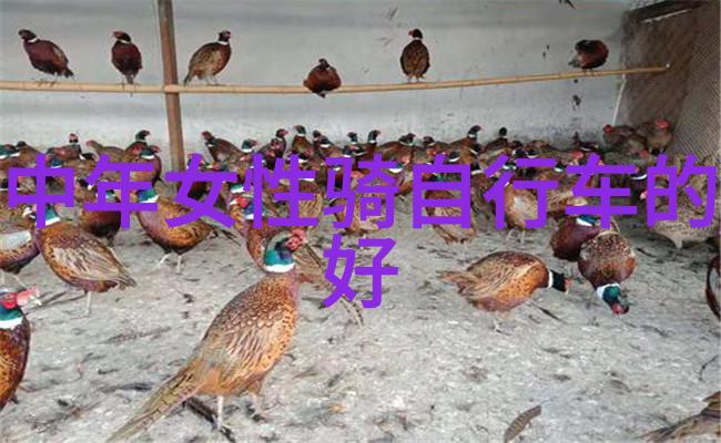 香港不仅是购物天堂还有什么独特之处让它成为热门目的地吗