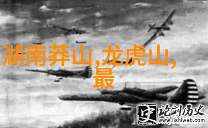 杭州小吃大冒险揭秘这10样小零食能让你爱不释手