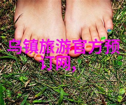 轻盈强劲的骑行记录软件Brujula助力Orbea Oiz XC超越限界在社会的快节奏中选择哪款软件