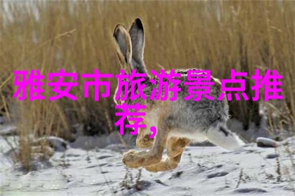 (无需准备)街头巷尾的大众娱乐节目即兴创作的艺术与乐趣融合体验篇