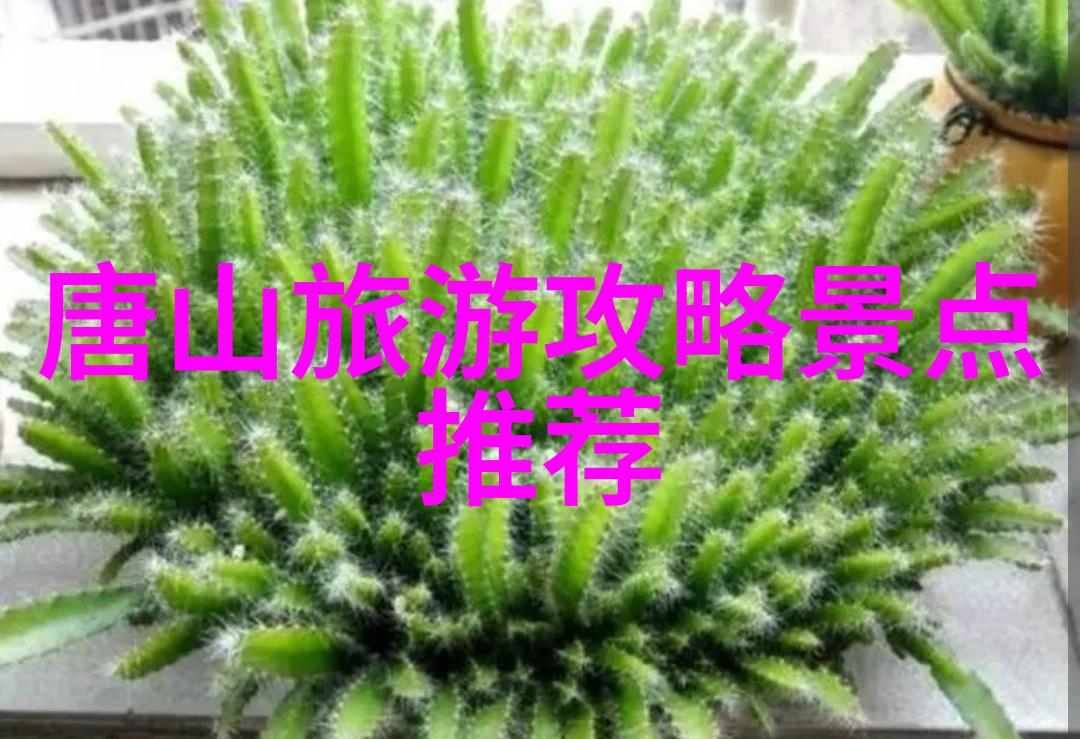 上海小吃一条街繁华与简朴的交汇