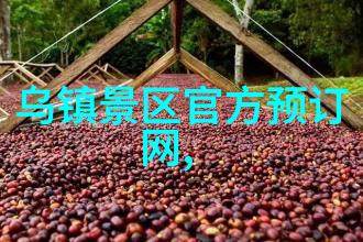 户外活动五大类型我来告诉你这些超级有趣的运动
