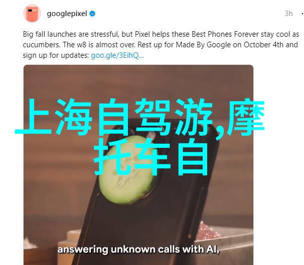 探索未知的绿茵森林里的奇妙发现自然生态野生动植物户外活动