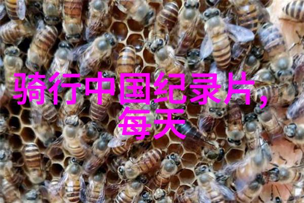 浙江的秘密花园揭开千年古城的迷雾