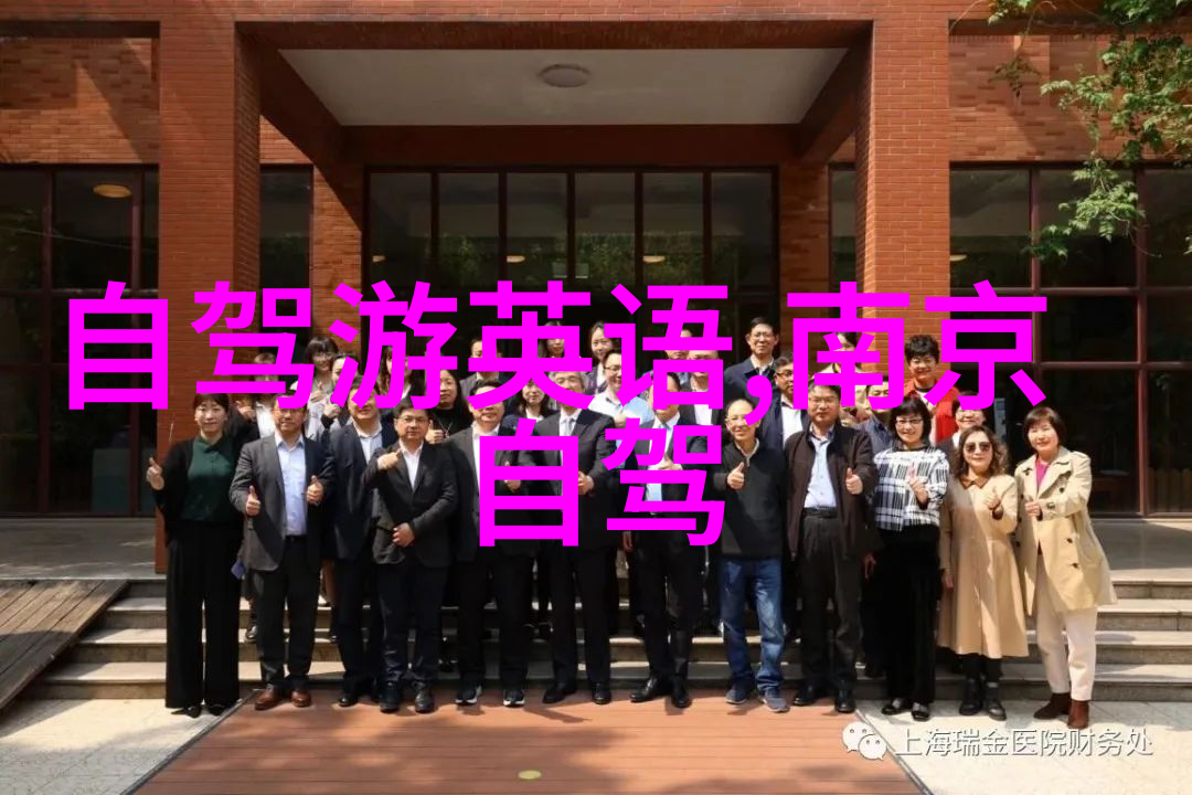 穿越西藏的神秘风光一路向上的自驾奇遇