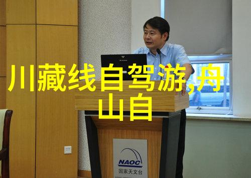 秘密森林中的五十个谜题中班户外探险游戏