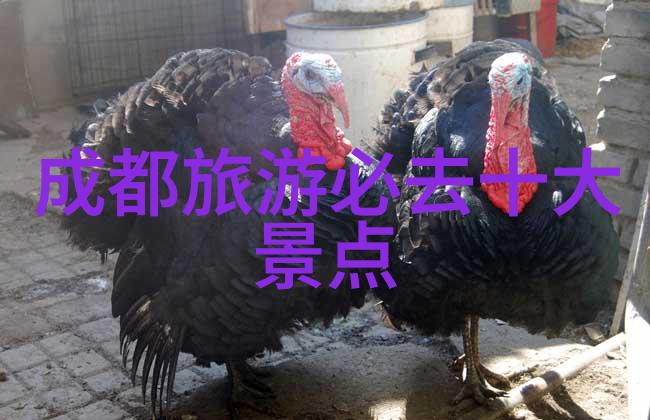 甘肃红土情怀陈仕红木休闲品鉴馆探秘