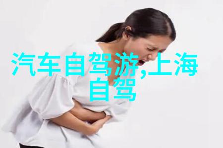 上海短租平台魔都的隐秘之门