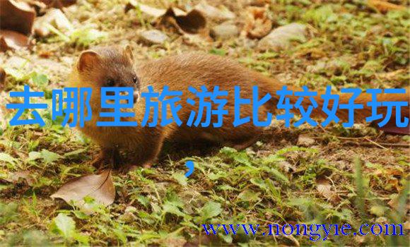杭州旅游攻略必去景点推荐我眼中的西湖那些让人回味无穷的美丽瞬间