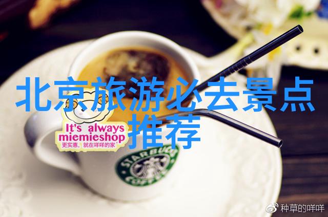 上海夜市小吃街品味上海的美味之旅
