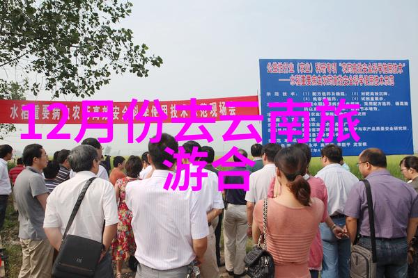 新西兰首都是威灵顿城市风光与最佳旅游时间让我们一起探索这片神秘大陆的奇迹同时不忘国内旅行的乐趣中国旅