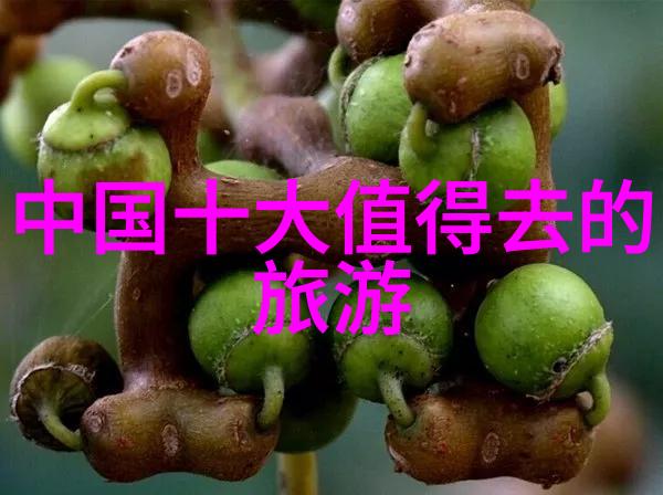 南京网红美食之谜追踪那一口令人沉醉的味道