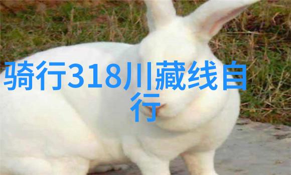 户外探险需要携带的必备装备有哪些