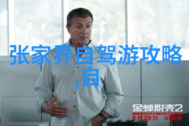 权力的游戏统治与策略的艺术