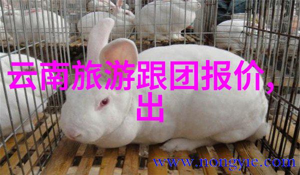 云南自然风光大作战