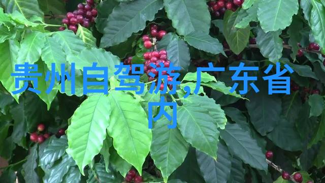 北京京城之冠海昌极地海洋世界冰山一角