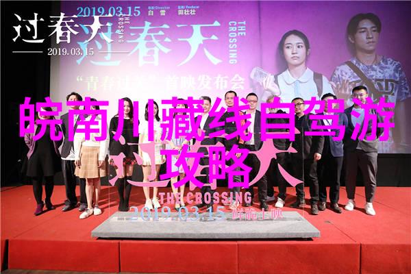 冰川上的舞蹈新西兰南岛的冬季体验
