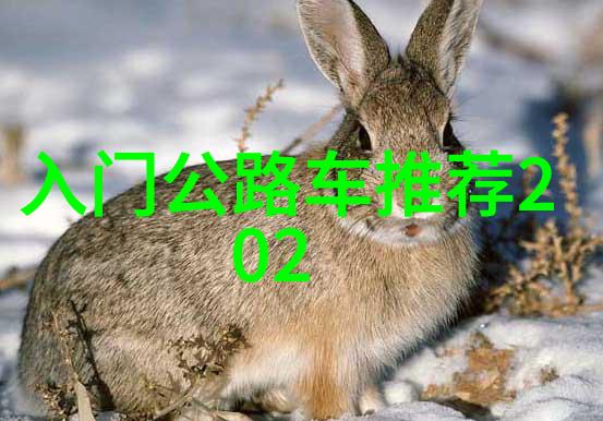 旅游资讯新篇章喜迎十八年畅游世界