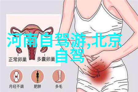 探索中国美丽角落从云南古城到贵州大山的自驾奇遇