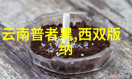 上海一日游最好的地方-探索龙之梦上海市区精选景点一日游指南