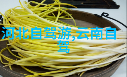 南京两日游攻略揭秘紫金城的古韵与现代魅力