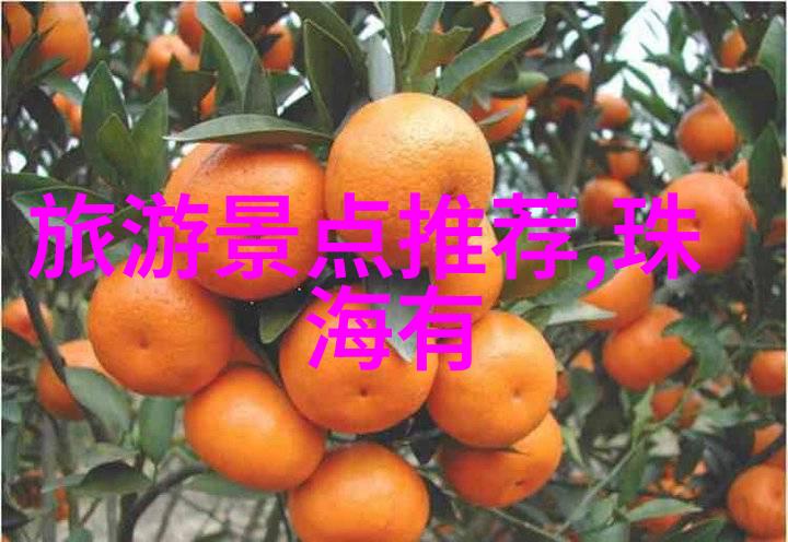 成都美食大冒险揭秘那些让你上瘾的味道