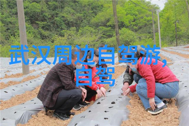 四川旅游新闻网探索未知的美丽角落享受生活的艺术体验