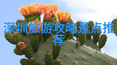 在四川可以尝试做什么样的当地手工艺品或美食课程呢