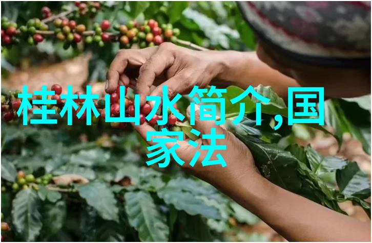 去骑自行车网站入口 - 自由之翼探索自行车旅行的魅力