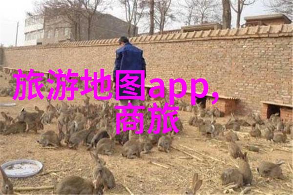 龙目岛旅游住宿攻略权威指南