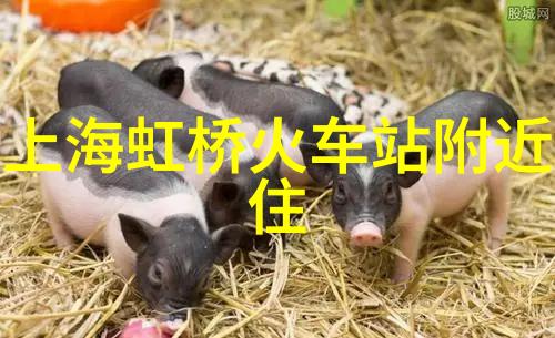 云南旅游路线我在云南的五天四夜从大理到丽江的美食之旅