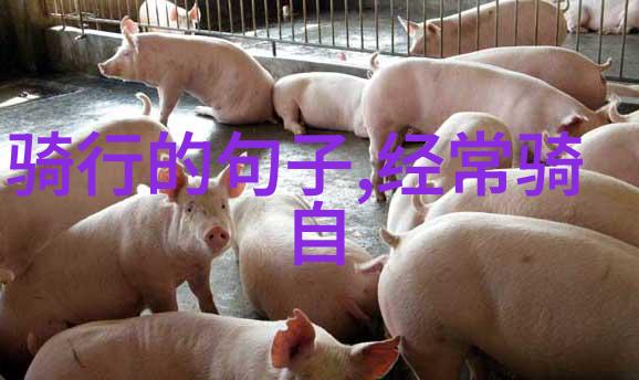 2023年公路车骑行活动 - 春风化雨下的长途跋涉2023年公路车骑行探秘