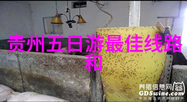 乌镇购物指南在哪里可以买到特色的纪念品和手工艺品