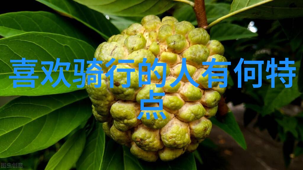 云南 丽江我在丽江的那段时光寻找那片色彩斑斓的天地