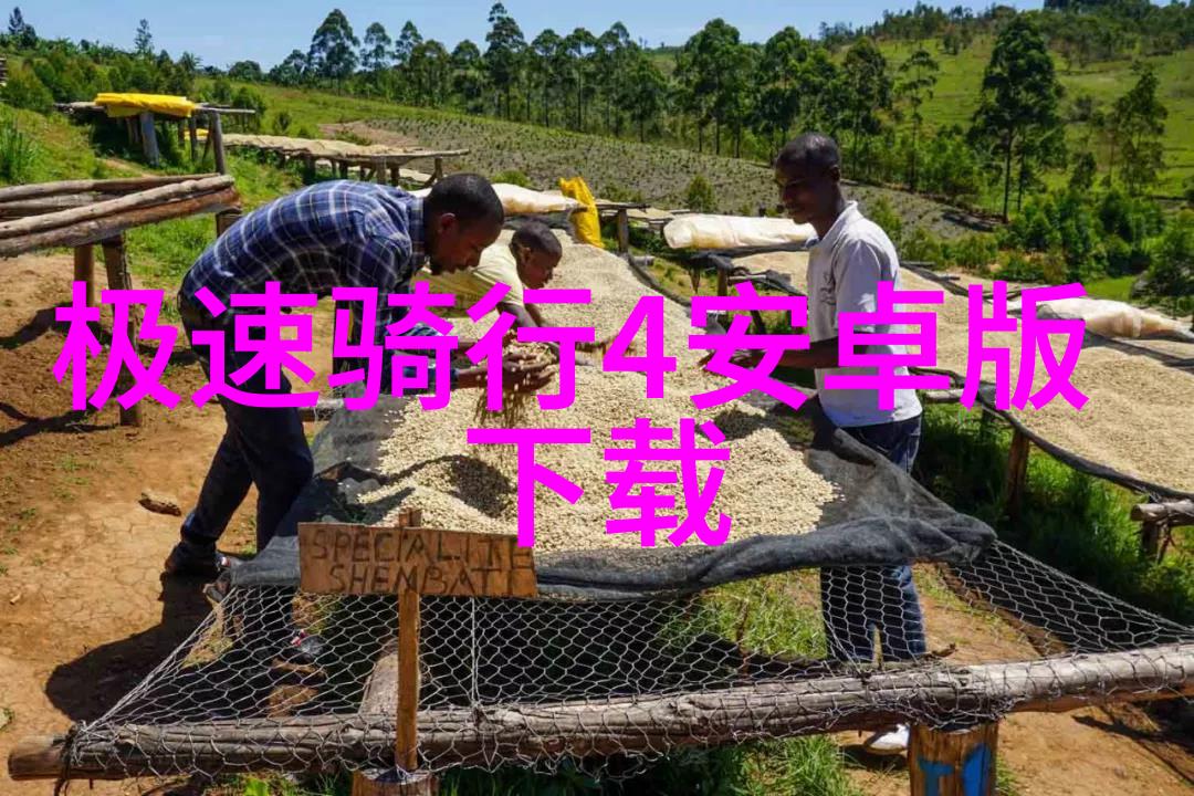 荔波大小七孔探秘云南荔波大七孔自然奇观的奥秘与魅力