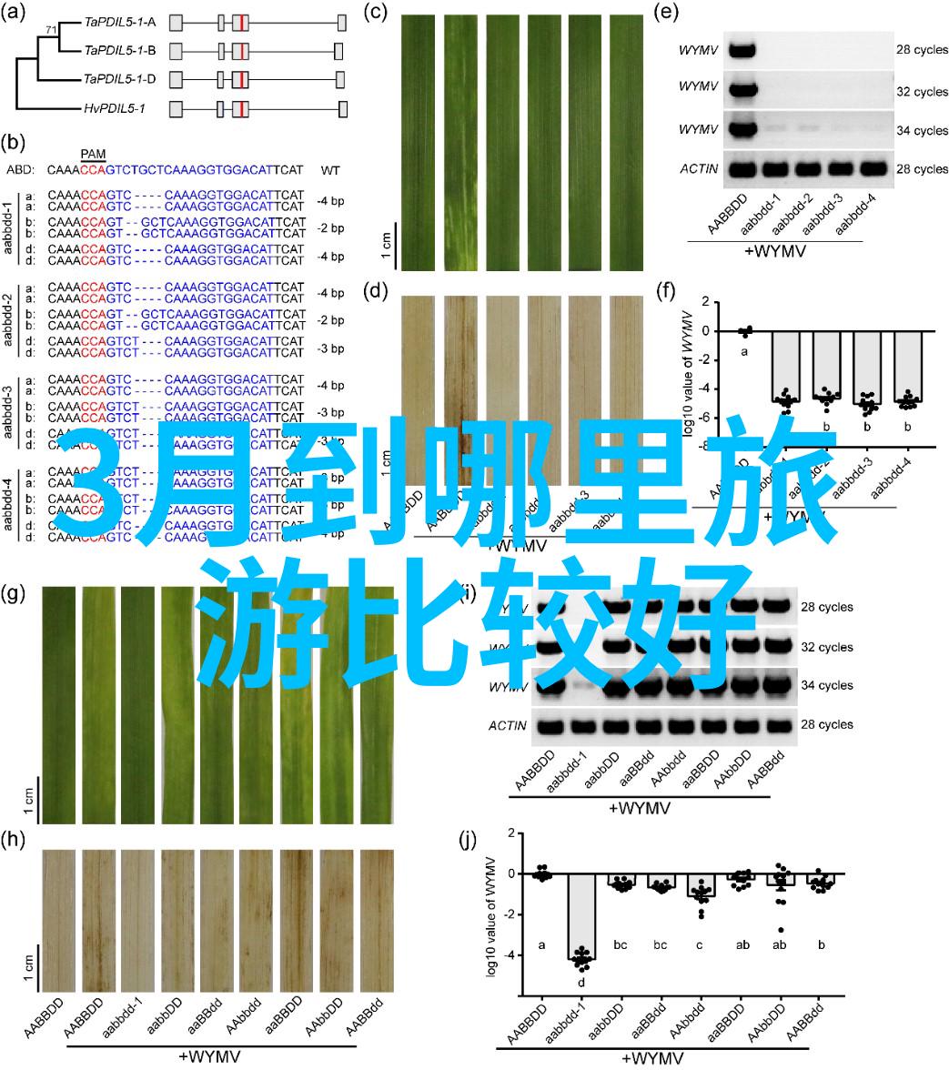 舒适住宿指南在漫长的旅行途中我们该如何选择合适的住宿地点呢
