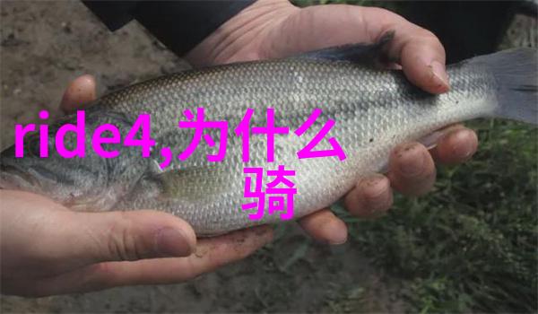 沿着黄浦江畔上海外滩附近的最佳民宿选择