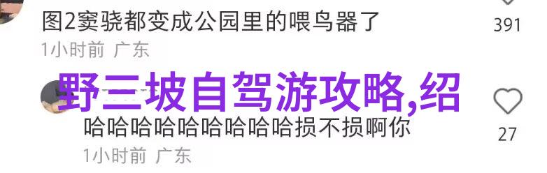 湛江美景探秘海岸线上的浪漫与活力