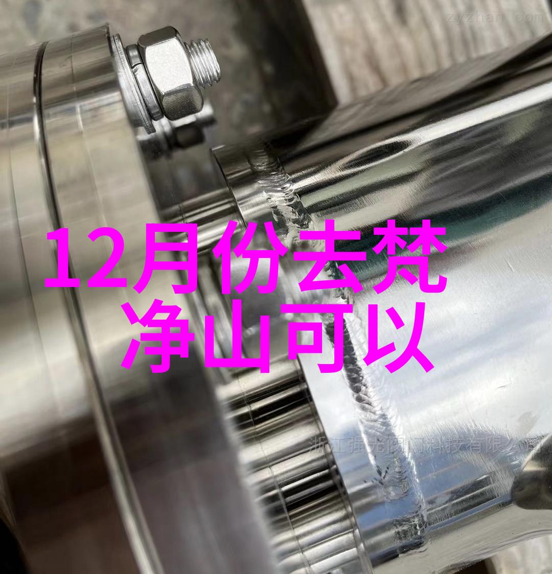 沧浪海旅游港三日游之谜