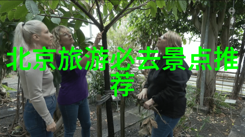 青藏线自驾游穿越自然的奇迹之旅