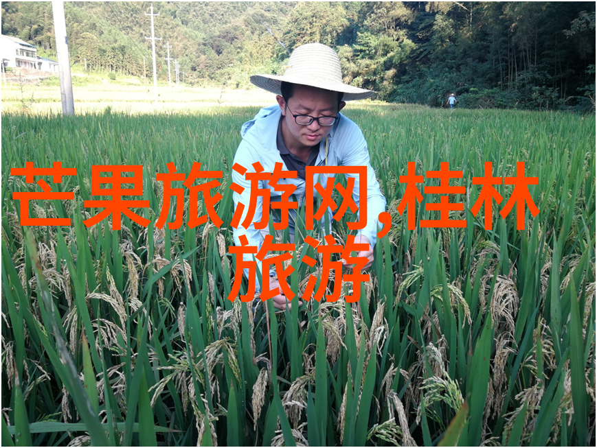 青春旅行潮流青少年在19年的国内旅游趋势分析