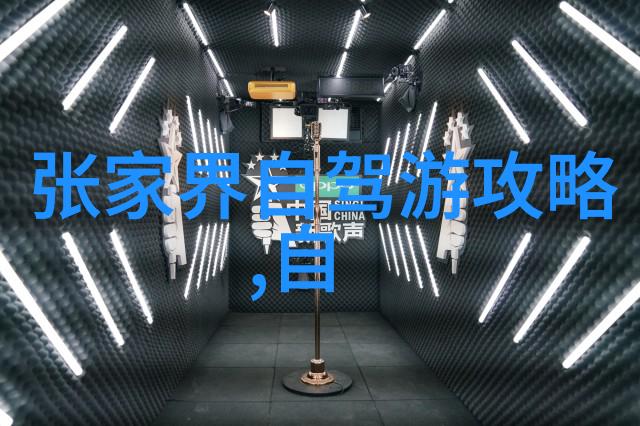 偷窥闺房-隐秘的窗帘偷窥闺房的秘密世界
