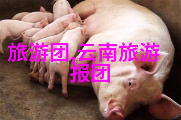 去必去的景点我一定要去看看这座古城