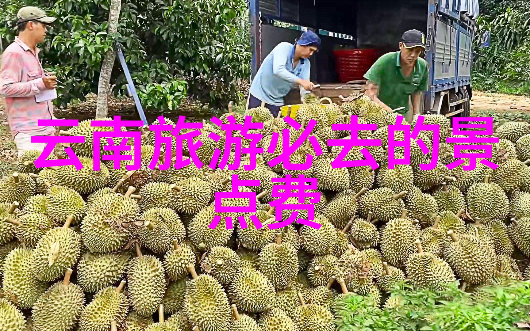 想象一下在内蒙古与野生动物共舞你会感到多么兴奋 一个自然爱好者的旅程
