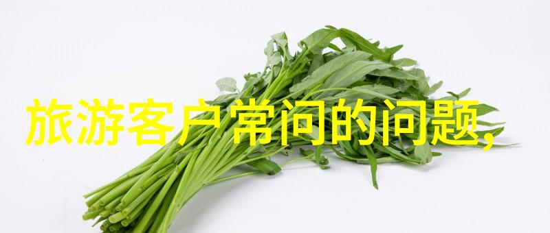 上海十大夜市小吃街我来带你走进那些让味蕾舞动的热闹场所