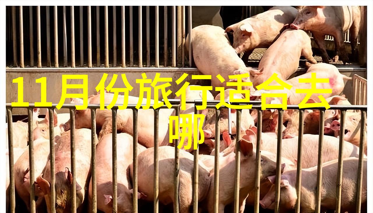 浪漫纬度探索世界十大蜜月天堂