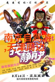 海外探索之旅英语学习的旅行体验