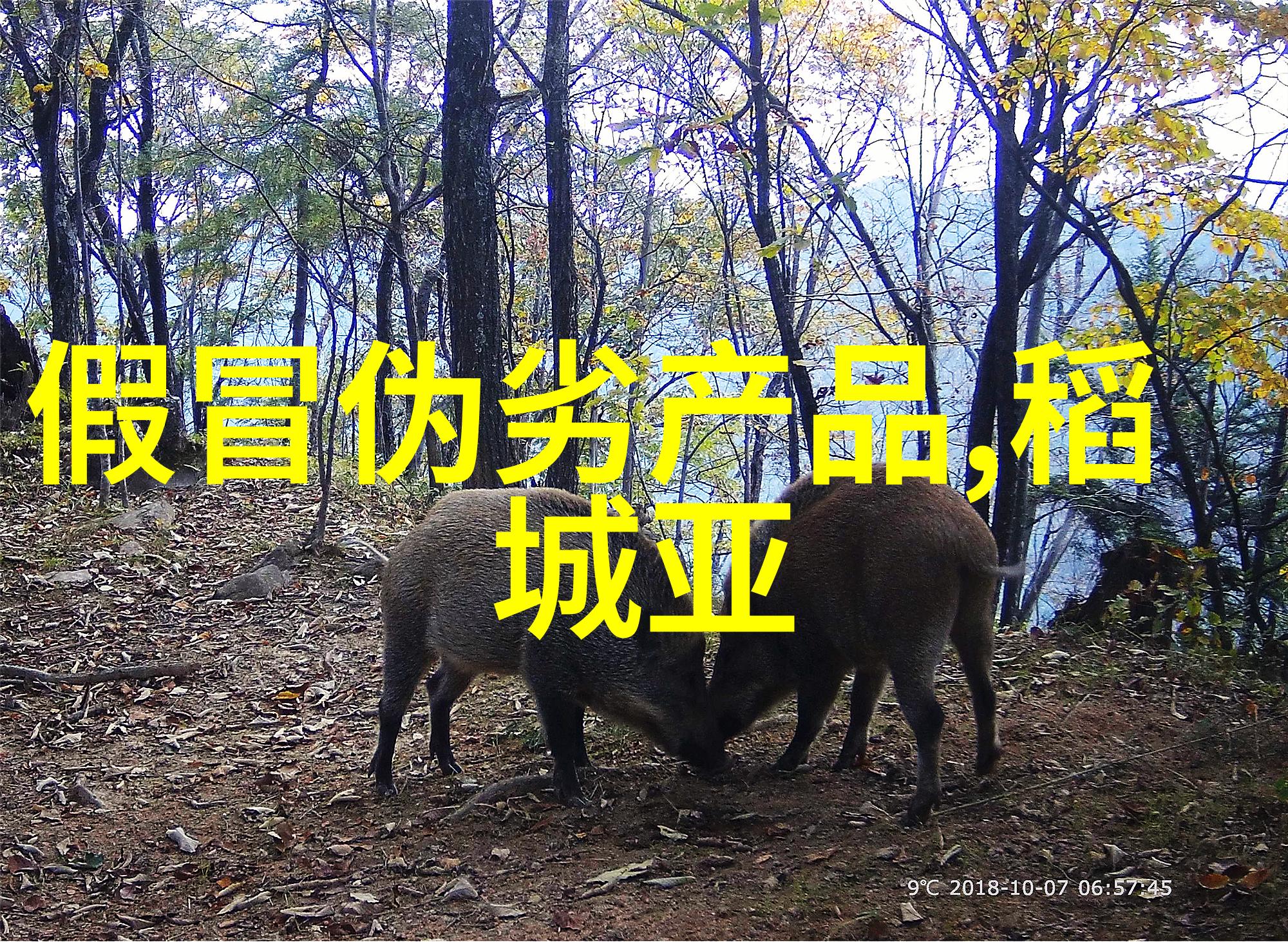 石家庄周边美丽探秘云游四方一日游记