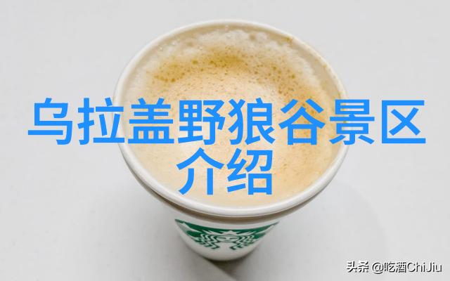 远方的引擎声自驾游记中的风景与故事